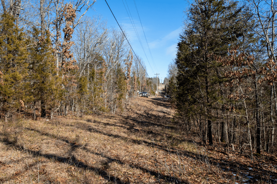 Taney county